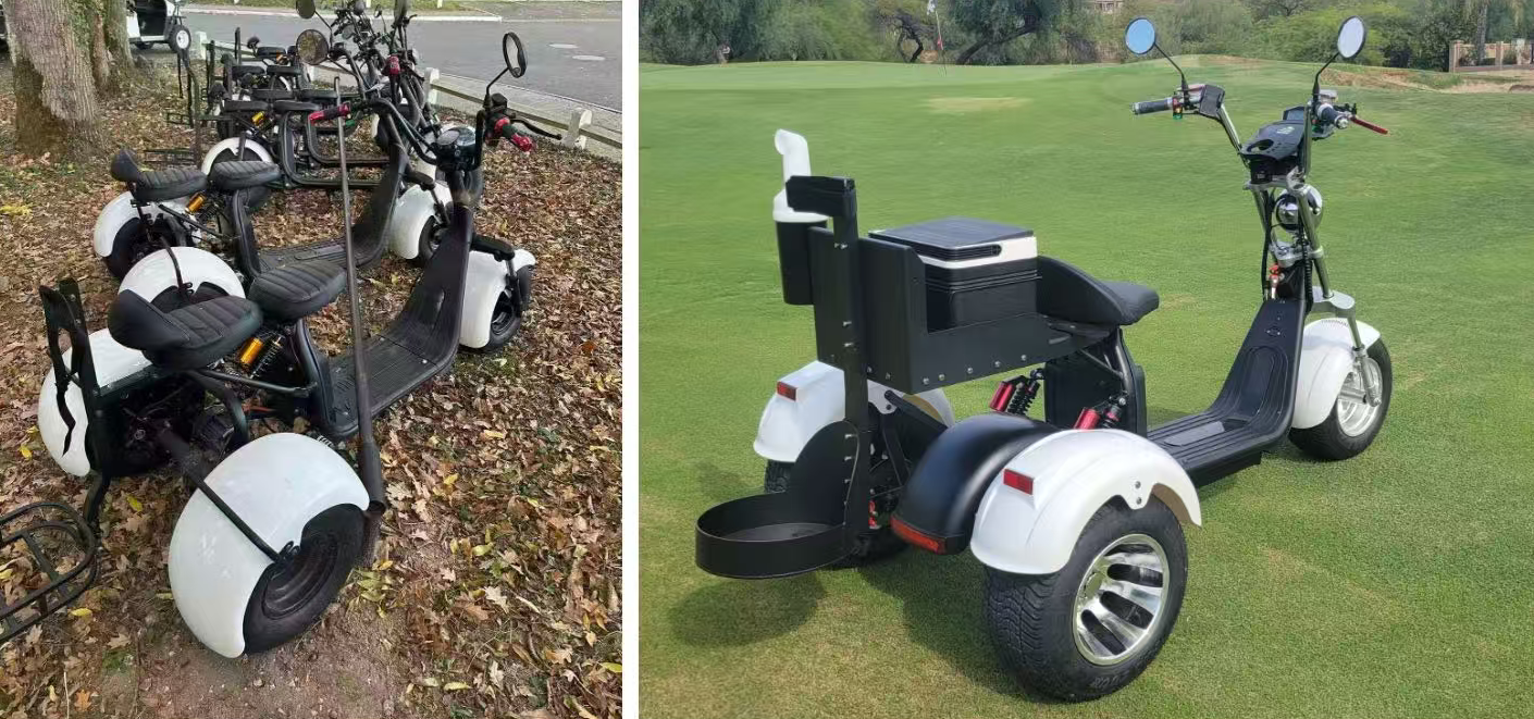 15 Golf Scooters, More Than 1 Year, €0 Revenue, Why