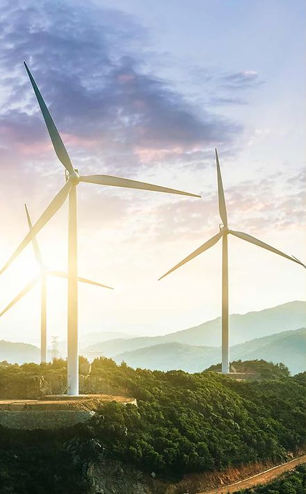 Sustainable Business Model Fleet Service