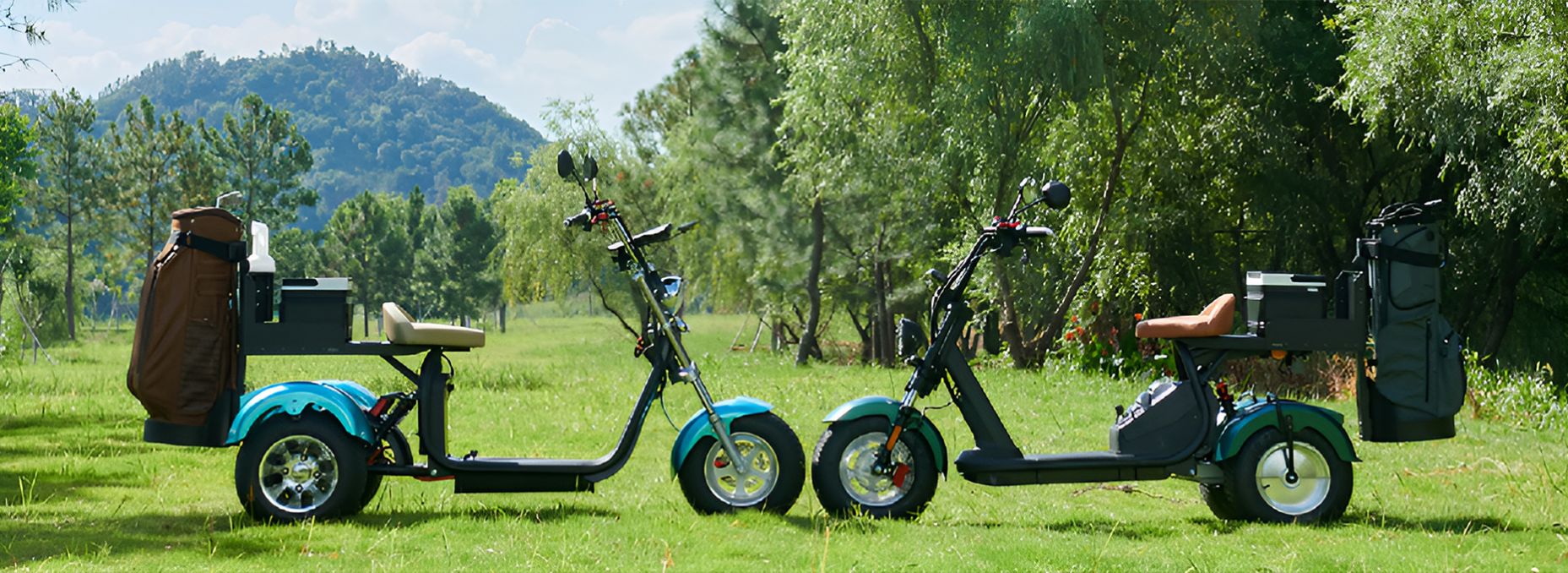 Have Been Through Years of Experiences and Feedback in North America