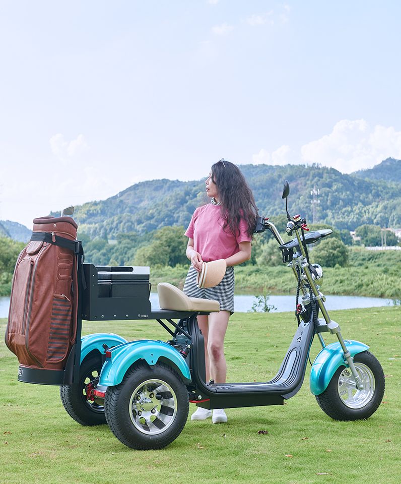 Three wheel Golf Cart Fougle