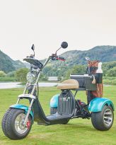 Golf Trike Fougle
