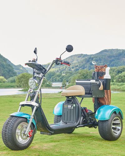 Golf Trike Fougle