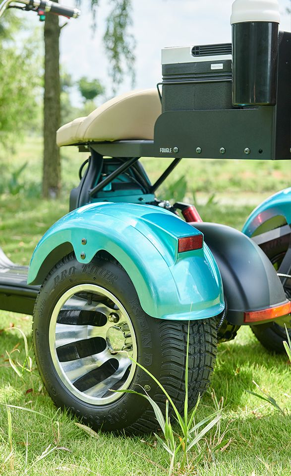 motorcycle golf trike accessories