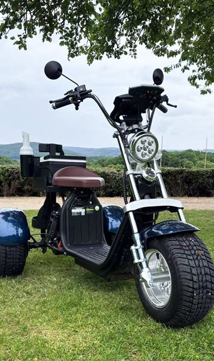 Audi and Toyota Enter the 3-Wheel EV Market