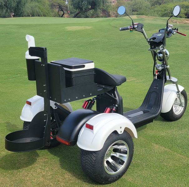 15 Golf Scooters, More Than 1 Year, €0 Revenue, Why