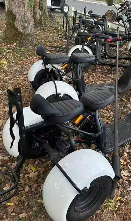 15 Golf Scooters, More Than 1 Year, €0 Revenue, Why