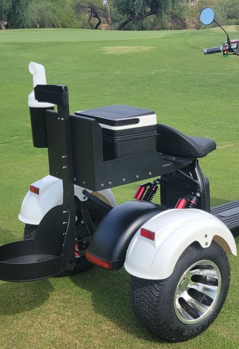 15 Golf Scooters, More Than 1 Year, €0 Revenue, Why